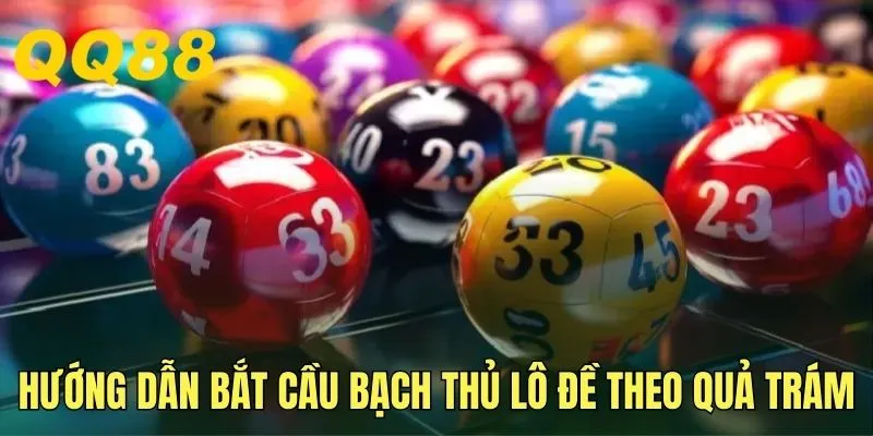Hướng dẫn bắt cầu bạch thủ lô đề theo quả trám